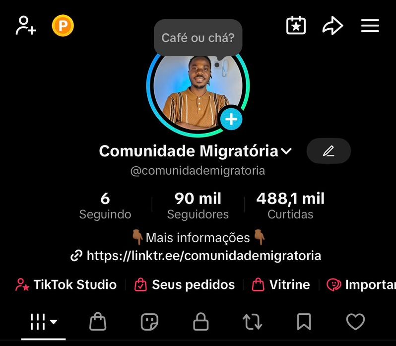 Perfil do TikTok